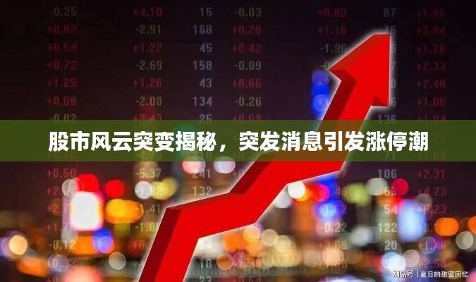股市风云突变揭秘,突发消息引发涨停潮