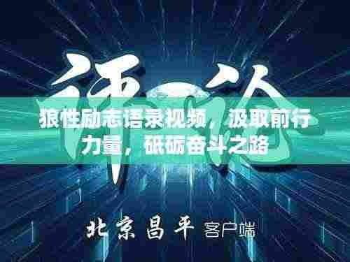 狼性励志语录视频,汲取前行力量,砥砺奋斗之路