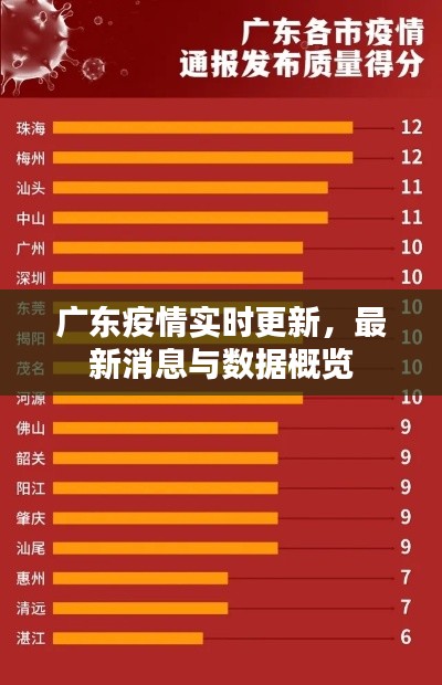 广东疫情实时更新,最新消息与数据概览