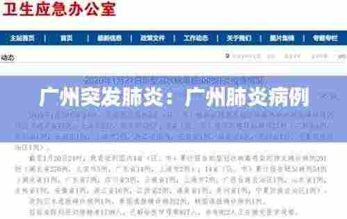 广州突发肺炎：广州肺炎病例 