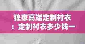 独家高端定制衬衣：定制衬衣多少钱一件 