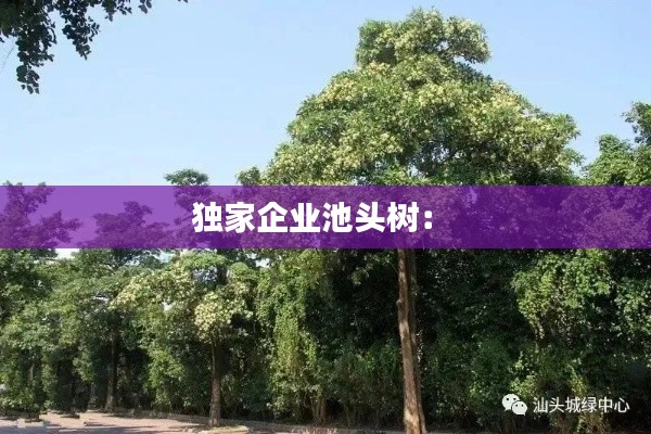 独家企业池头树: