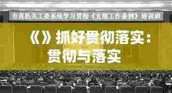 《》抓好贯彻落实:贯彻与落实