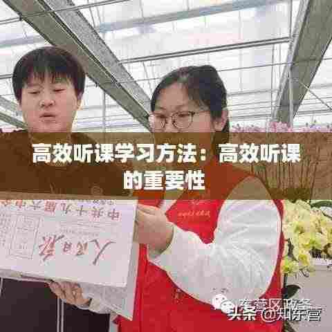 高效听课学习方法：高效听课的重要性 