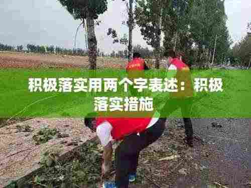 积极落实用两个字表述:积极落实措施