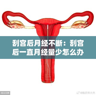 刮宫后月经不断:刮宫后一直月经量少怎么办