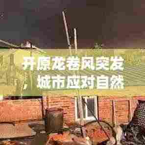 开原龙卷风突发,城市应对自然灾害的挑战与实战检验