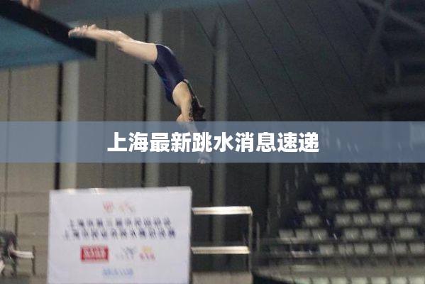 上海最新跳水消息速递