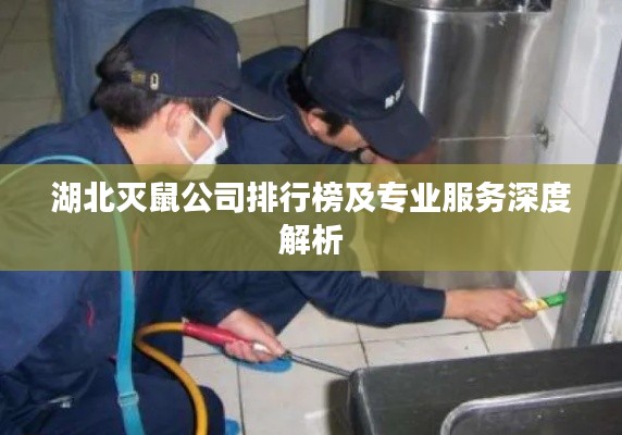 湖北灭鼠公司排行榜及专业服务深度解析