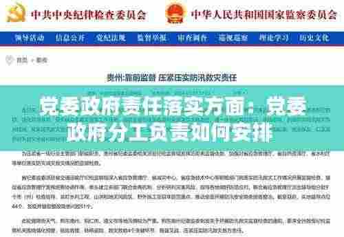 党委政府责任落实方面:党委政府分工负责如何安排