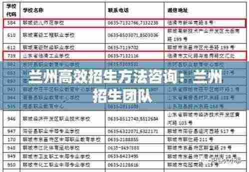 兰州高效招生方法咨询:兰州招生团队