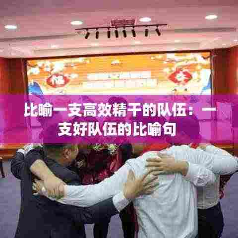 比喻一支高效精干的队伍:一支好队伍的比喻句