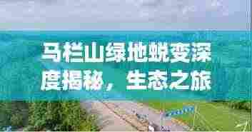 马栏山绿地蜕变深度揭秘,生态之旅的惊人转变之路