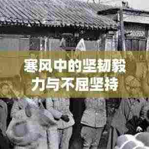 寒风中的坚韧毅力与不屈坚持