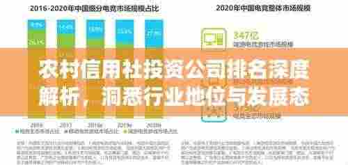 农村信用社投资公司排名深度解析,洞悉行业地位与发展态势