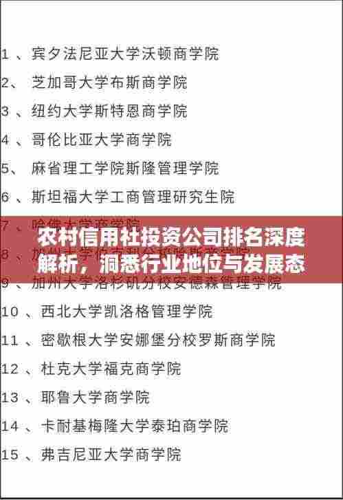 农村信用社投资公司排名深度解析,洞悉行业地位与发展态势