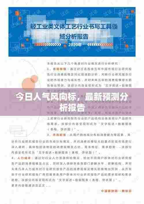 今日人气风向标,最新预测分析报告