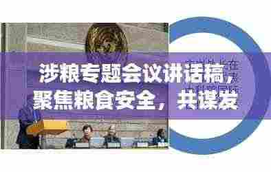 涉粮专题会议讲话稿,聚焦粮食安全,共谋发展大计