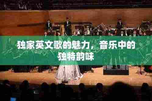 独家英文歌的魅力，音乐中的独特韵味