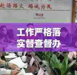 工作严格落实督查督办:工作督查要求讲话