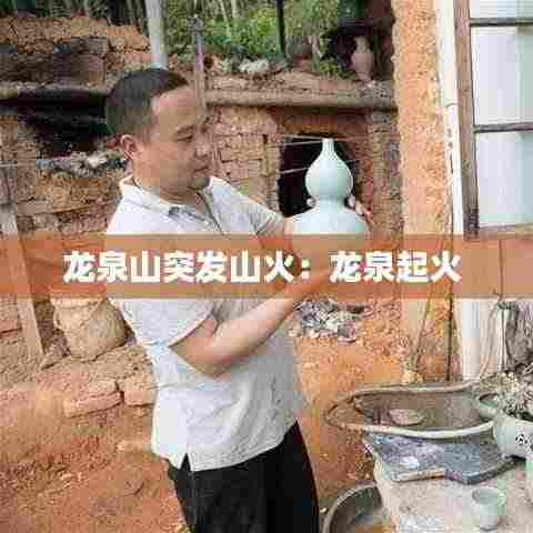 龙泉山突发山火:龙泉起火