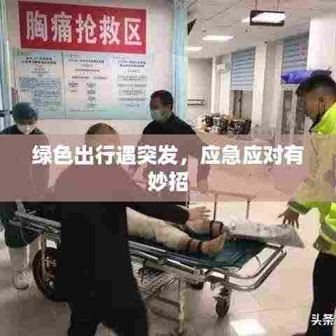 绿色出行遇突发,应急应对有妙招