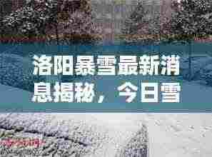 洛阳暴雪最新消息揭秘，今日雪情动态更新！