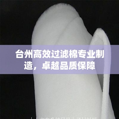 台州高效过滤棉专业制造,卓越品质保障