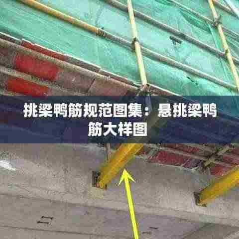 挑梁鸭筋规范图集：悬挑梁鸭筋大样图 