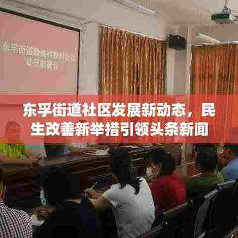 东孚街道社区发展新动态，民生改善新举措引领头条新闻