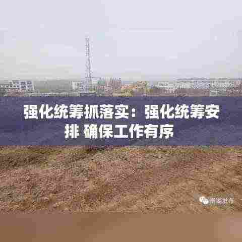 强化统筹抓落实:强化统筹安排 确保工作有序