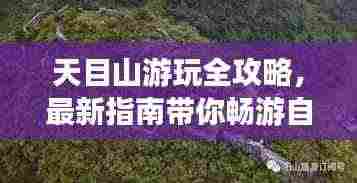 天目山游玩全攻略,最新指南带你畅游自然仙境!