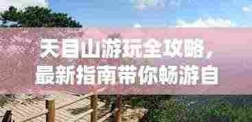 天目山游玩全攻略,最新指南带你畅游自然仙境!