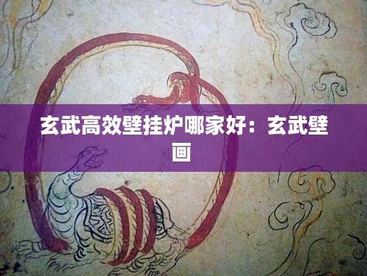 玄武高效壁挂炉哪家好:玄武壁画