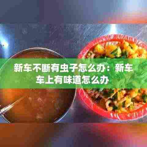 色厉内荏 第4页