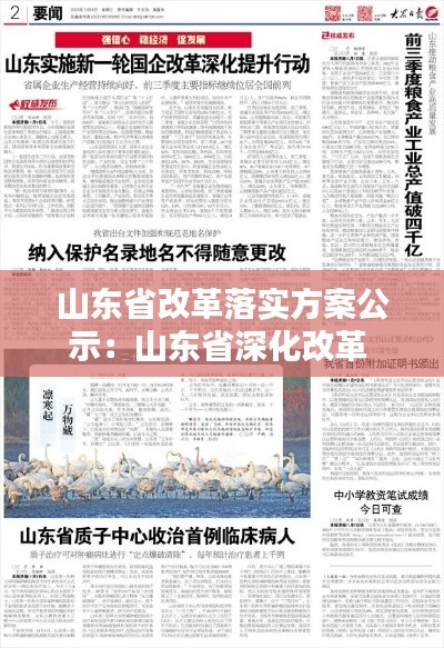 山东省改革落实方案公示:山东省深化改革