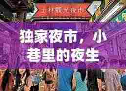 独家夜市,小巷里的夜生活魅力画卷