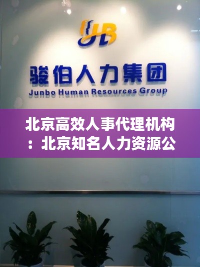 北京高效人事代理机构：北京知名人力资源公司 