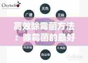 高效除霉菌方法：除霉菌的最好方法 