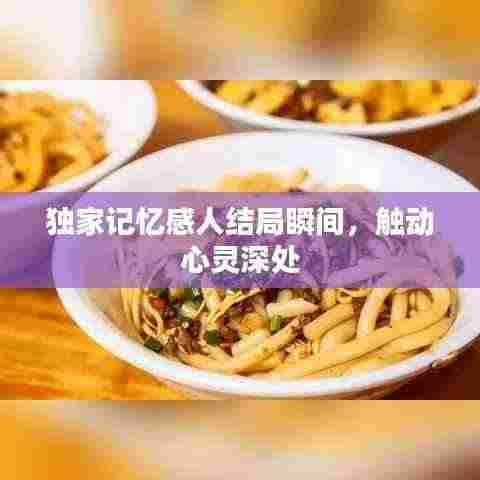 独家记忆感人结局瞬间,触动心灵深处