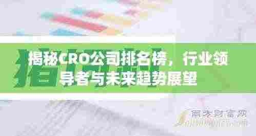 揭秘CRO公司排名榜,行业领导者与未来趋势展望