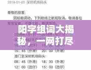 阳字组词大揭秘，一网打尽，探索与发现