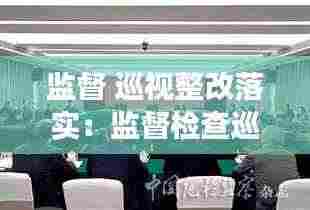 监督 巡视整改落实:监督检查巡察整改后半篇文章