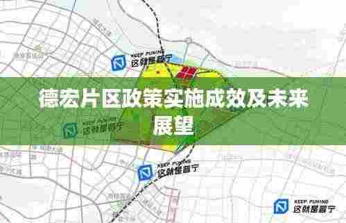 德宏片区政策实施成效及未来展望