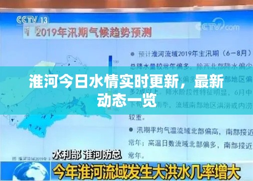淮河今日水情实时更新，最新动态一览
