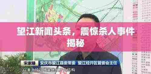 望江新闻头条,震惊杀人事件揭秘