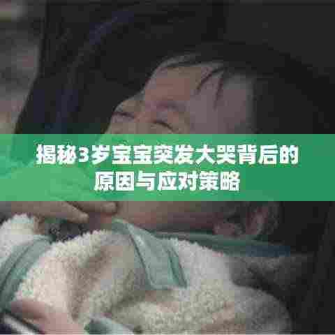 揭秘3岁宝宝突发大哭背后的原因与应对策略