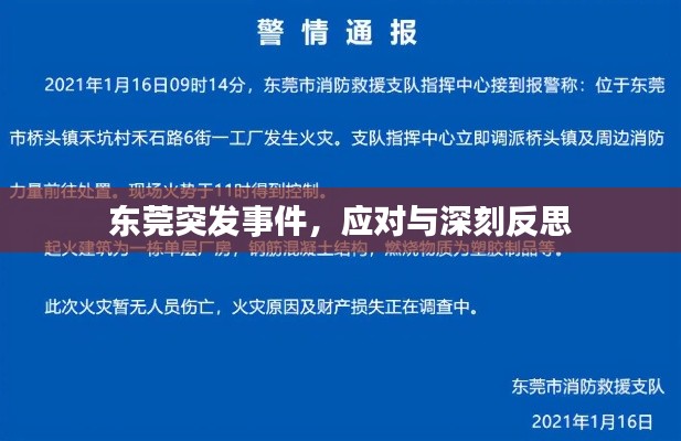 东莞突发事件，应对与深刻反思