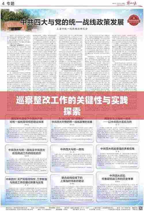 巡察整改工作的关键性与实践探索