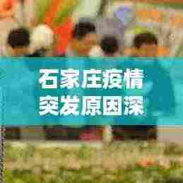 石家庄疫情突发原因深度解析